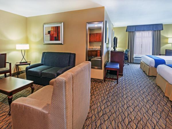 Holiday Inn Express Hotel & Suites Houston-Downtown Convention Center, an IHG Hotel : photo 2 de la chambre suite exécutive avec 1 lit king-size