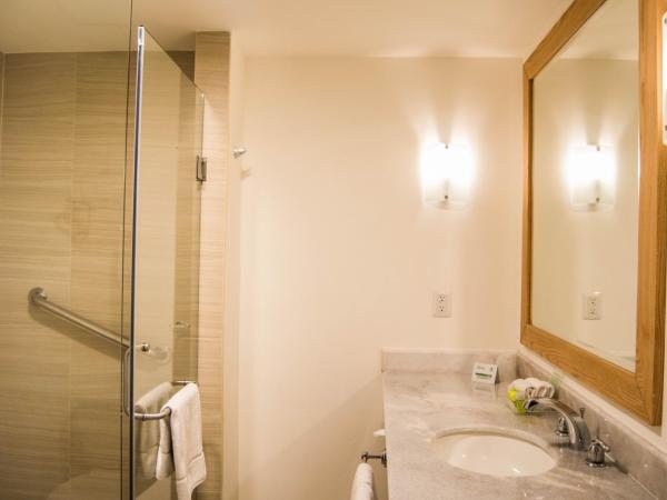 Holiday Inn Hotel & Suites Centro Historico, an IHG Hotel : photo 4 de la chambre chambre standard