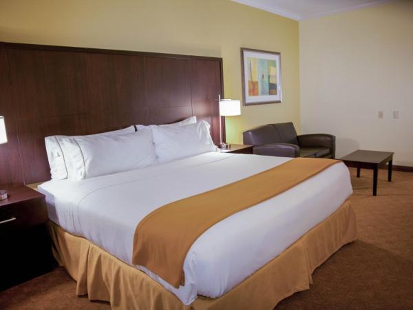 Holiday Inn Express Hotel & Suites Houston North Intercontinental, an IHG Hotel : photo 8 de la chambre chambre lit king-size - non-fumeurs