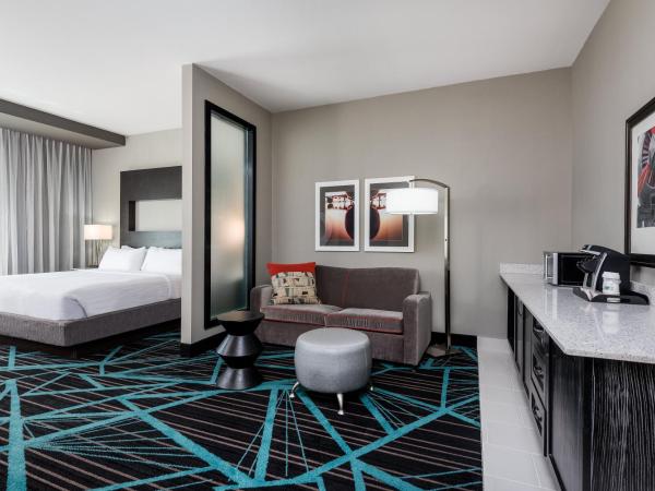 Holiday Inn Express & Suites - Charlotte Airport, an IHG Hotel : photo 4 de la chambre suite lit king-size – non-fumeurs