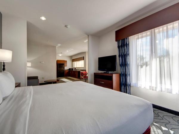 Holiday Inn Express and Suites Oklahoma City North, an IHG Hotel : photo 1 de la chambre suite 1 chambre lit king-size