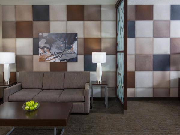 Holiday Inn Express & Suites Oklahoma City Downtown - Bricktown, an IHG Hotel : photo 5 de la chambre chambre lit king-size exécutive avec canapé-lit