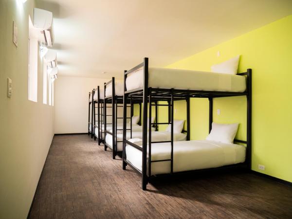Colorbox beds and rooms : photo 5 de la chambre lit dans dortoir de 8 lits 