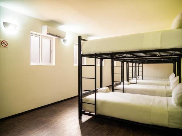 Colorbox beds and rooms : photo 1 de la chambre lit dans dortoir de 8 lits 