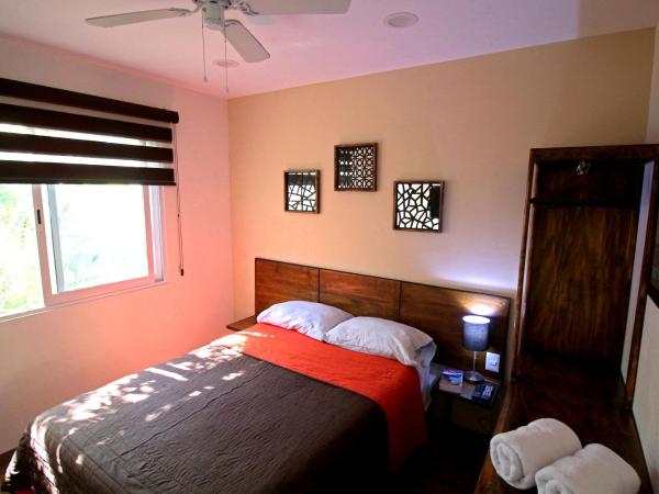 Hostel Hospedarte Chapultepec : photo 4 de la chambre chambre double deluxe