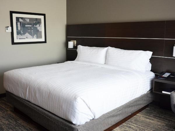 Holiday Inn Express & Suites - Jacksonville W - I295 and I10, an IHG Hotel : photo 2 de la chambre chambre lit king-size standard