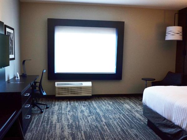 Holiday Inn Express & Suites - Jacksonville W - I295 and I10, an IHG Hotel : photo 7 de la chambre chambre lit king-size standard