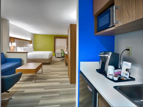 Holiday Inn Express Hotel & Suites Jacksonville-South, an IHG Hotel : photo 1 de la chambre suite lit king-size