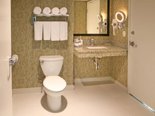 Holiday Inn Express & Suites Cuernavaca, an IHG Hotel : photo 1 de la chambre chambre double standard avec 2 lits doubles