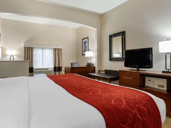 Comfort Suites Airport : photo 3 de la chambre suite lit king-size