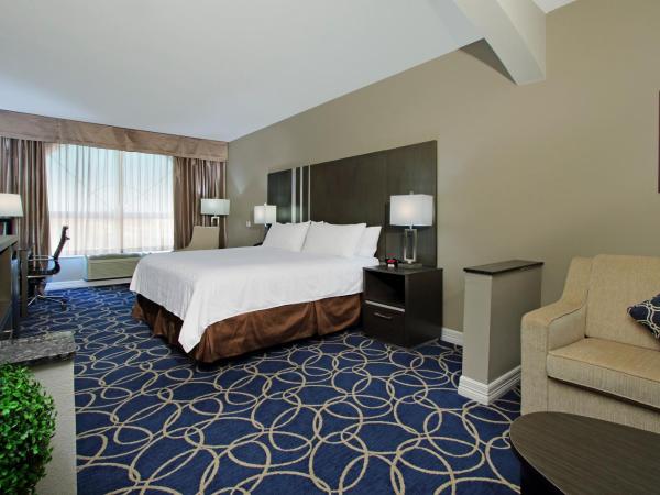 Holiday Inn Express and Suites Houston North - IAH Area, an IHG Hotel : photo 6 de la chambre suite lit king-size