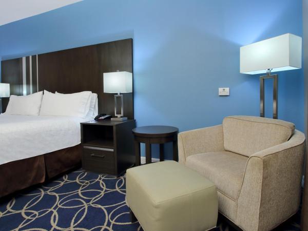 Holiday Inn Express and Suites Houston North - IAH Area, an IHG Hotel : photo 2 de la chambre chambre lit king-size loisirs
