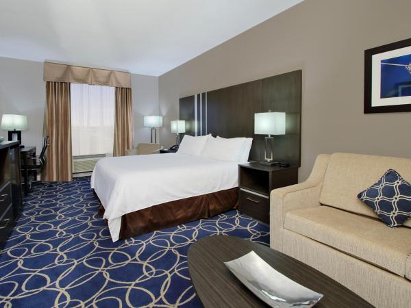 Holiday Inn Express and Suites Houston North - IAH Area, an IHG Hotel : photo 8 de la chambre suite lit king-size – non-fumeurs