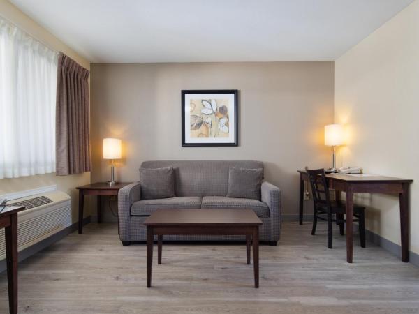 Siesta Suites : photo 9 de la chambre suite lit queen-size de luxe avec canapé-lit