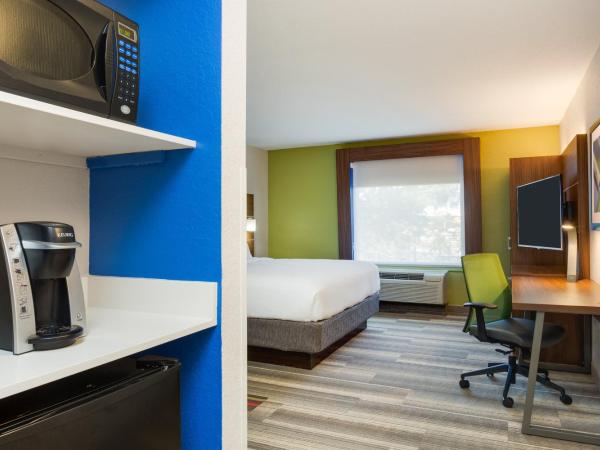 Holiday Inn Express Hotel & Suites Tampa-Fairgrounds-Casino, an IHG Hotel : photo 5 de la chambre chambre lit king-size standard