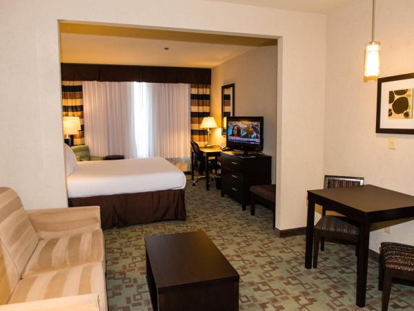 Holiday Inn Express Hotel & Suites Houston NW Beltway 8-West Road, an IHG Hotel : photo 3 de la chambre chambre lit king-size standard