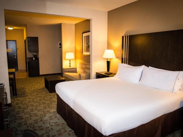 Holiday Inn Express Hotel & Suites Houston NW Beltway 8-West Road, an IHG Hotel : photo 2 de la chambre suite 1 chambre lit king-size avec canapé-lit