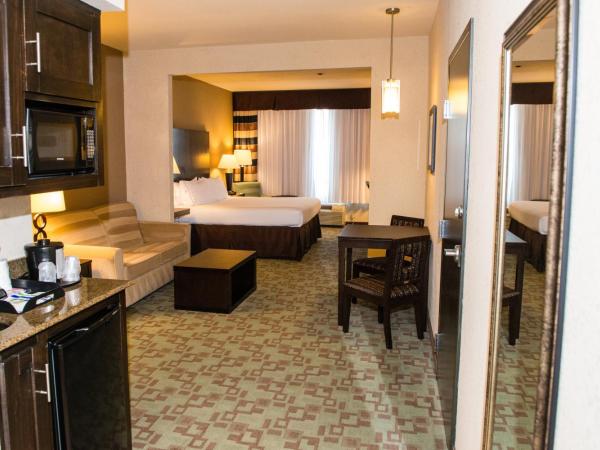 Holiday Inn Express Hotel & Suites Houston NW Beltway 8-West Road, an IHG Hotel : photo 1 de la chambre suite lit king-size – non-fumeurs
