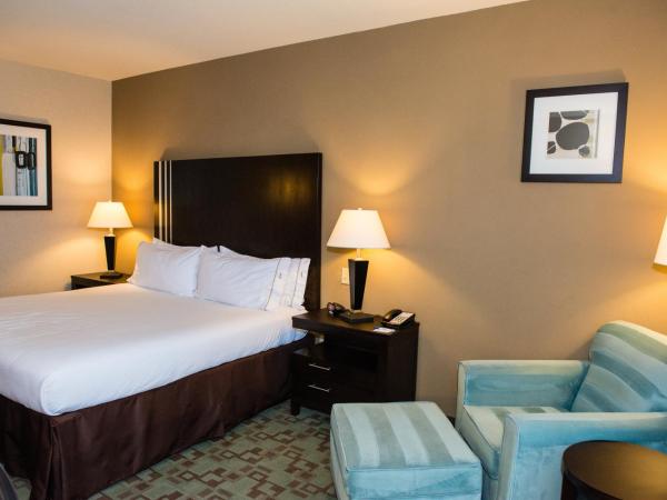 Holiday Inn Express Hotel & Suites Houston NW Beltway 8-West Road, an IHG Hotel : photo 2 de la chambre chambre lit king-size standard