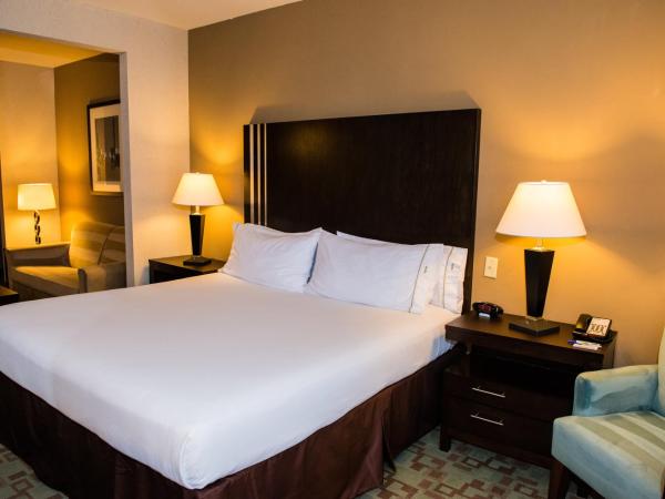 Holiday Inn Express Hotel & Suites Houston NW Beltway 8-West Road, an IHG Hotel : photo 4 de la chambre suite 1 chambre lit king-size avec canapé-lit