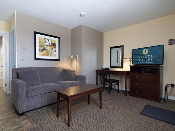 Siesta Suites : photo 2 de la chambre suite 1 chambre avec cuisine
