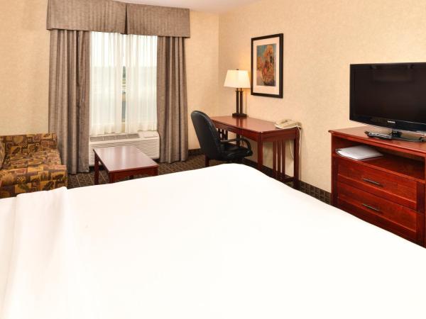 Holiday Inn Express Edmonton North, an IHG Hotel : photo 2 de la chambre chambre king standard avec canapé-lit