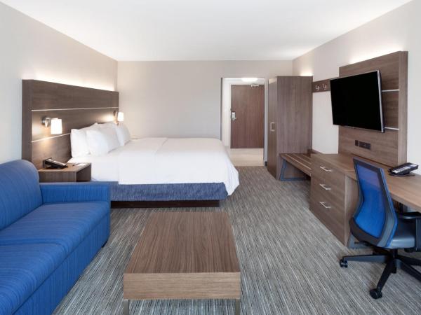 Holiday Inn Express & Suites Downtown Ottawa East, an IHG Hotel : photo 2 de la chambre suite lit king-size