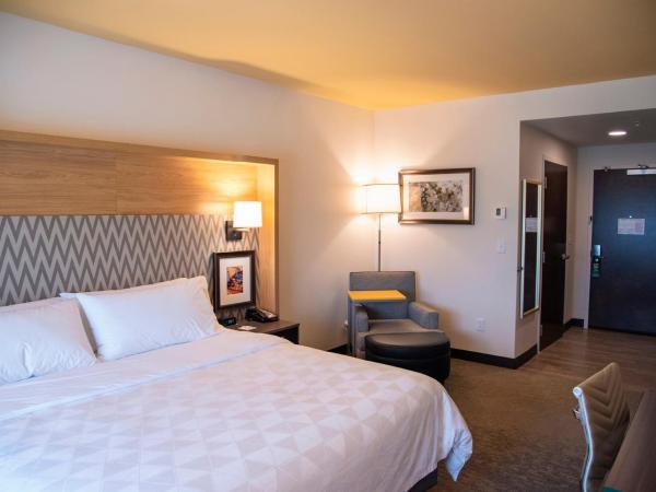 Holiday Inn & Suites - Savannah Airport - Pooler, an IHG Hotel : photo 6 de la chambre chambre lit king-size loisirs - non-fumeurs