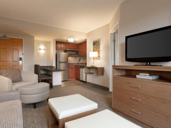 Staybridge Suites Tampa East- Brandon, an IHG Hotel : photo 2 de la chambre suite 2 chambres - non-fumeurs