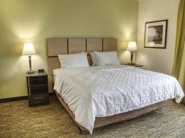 Candlewood Suites - Austin North, an IHG Hotel : photo 3 de la chambre suite 1 chambre lit king-size