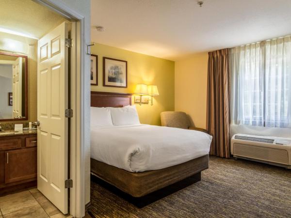 Candlewood Suites Jacksonville East Merril Road, an IHG Hotel : photo 5 de la chambre suite studio queen