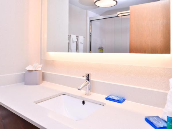 Holiday Inn Express Hotel & Suites Tampa-Anderson Road-Veterans Exp, an IHG Hotel : photo 1 de la chambre chambre standard