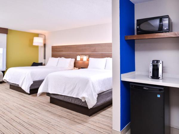 Holiday Inn Express Hotel & Suites Tampa-Anderson Road-Veterans Exp, an IHG Hotel : photo 6 de la chambre chambre standard avec 2 lits queen-size