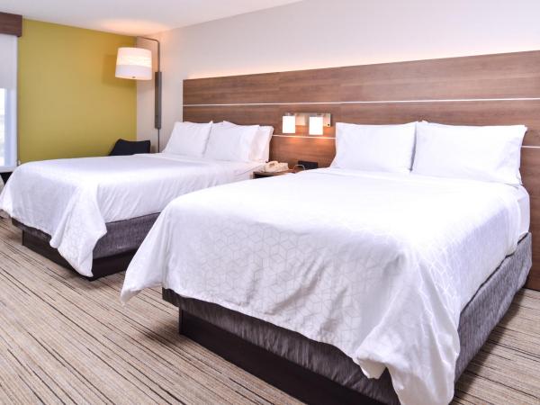 Holiday Inn Express Hotel & Suites Tampa-Anderson Road-Veterans Exp, an IHG Hotel : photo 3 de la chambre chambre standard