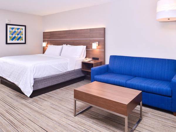 Holiday Inn Express Hotel & Suites Tampa-Anderson Road-Veterans Exp, an IHG Hotel : photo 6 de la chambre chambre lit king-size standard avec canapé-lit - non-fumeurs