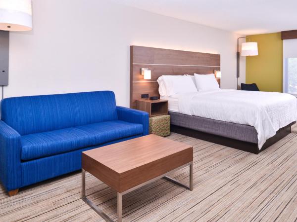 Holiday Inn Express Hotel & Suites Tampa-Anderson Road-Veterans Exp, an IHG Hotel : photo 2 de la chambre suite lit king-size – non-fumeurs