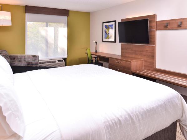 Holiday Inn Express Hotel & Suites Tampa-Anderson Road-Veterans Exp, an IHG Hotel : photo 5 de la chambre chambre lit king-size standard