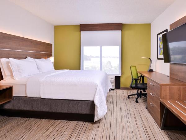 Holiday Inn Express Hotel & Suites Tampa-Anderson Road-Veterans Exp, an IHG Hotel : photo 4 de la chambre chambre standard