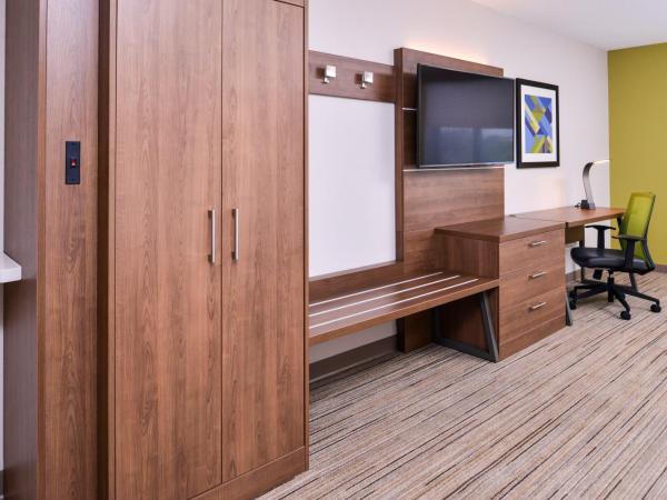 Holiday Inn Express Hotel & Suites Tampa-Anderson Road-Veterans Exp, an IHG Hotel : photo 5 de la chambre chambre standard