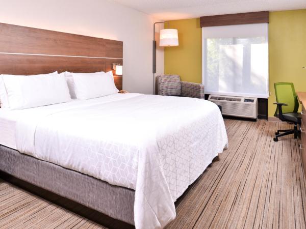 Holiday Inn Express Hotel & Suites Tampa-Anderson Road-Veterans Exp, an IHG Hotel : photo 3 de la chambre chambre lit king-size standard