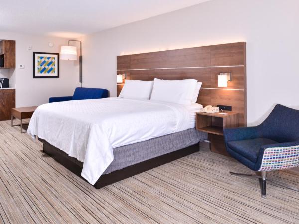 Holiday Inn Express Hotel & Suites Tampa-Anderson Road-Veterans Exp, an IHG Hotel : photo 6 de la chambre suite lit king-size – non-fumeurs