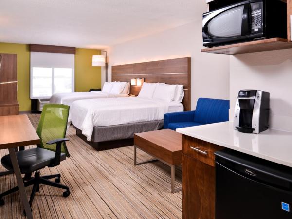 Holiday Inn Express Hotel & Suites Tampa-Anderson Road-Veterans Exp, an IHG Hotel : photo 3 de la chambre suite disposant de 2 lits queen-size