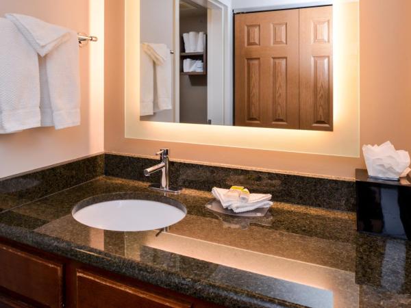 Staybridge Suites Indianapolis Downtown-Convention Center, an IHG Hotel : photo 2 de la chambre suite studio queen