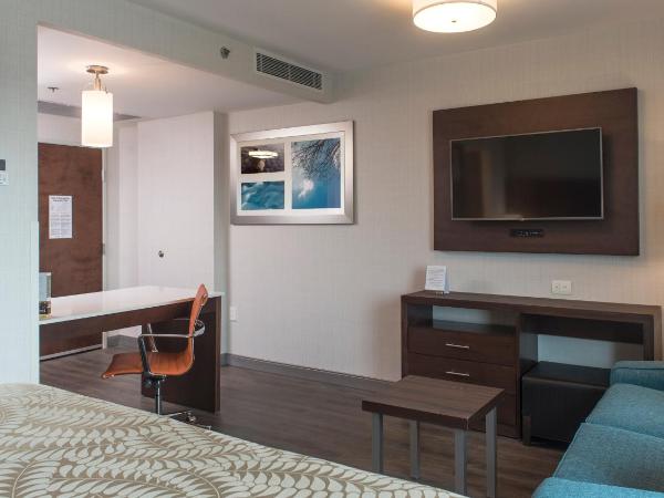 Staybridge Suites Puebla, an IHG Hotel : photo 2 de la chambre suite lit king-size
