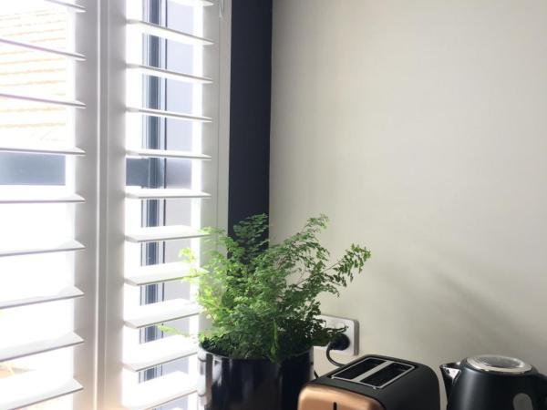 The Stables Dunedin : photo 4 de la chambre studio lit queen-size 