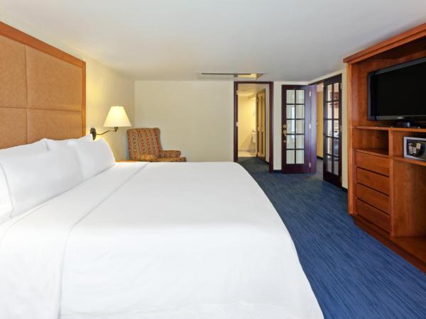Holiday Inn Express Oaxaca - Centro Historico, an IHG Hotel : photo 1 de la chambre suite 1 chambre lit king-size