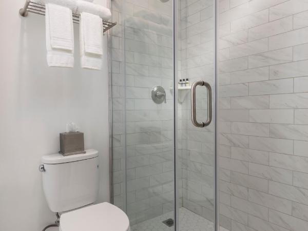 Executive Hotel Pacific : photo 1 de la chambre chambre supérieure lit queen-size