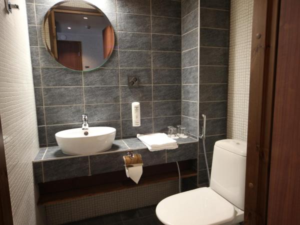 Levi Hotel Spa : photo 6 de la chambre suite junior