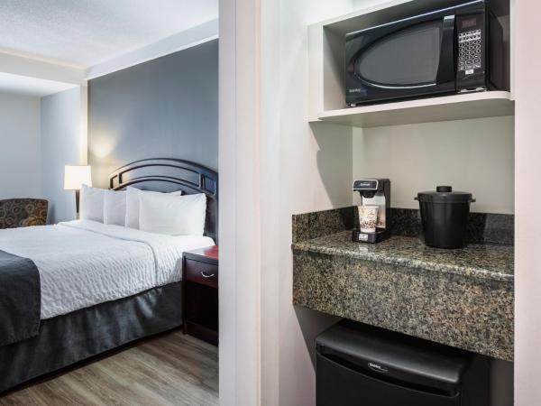 Viscount Gort Hotel, Banquet & Conference Centre : photo 6 de la chambre chambre avec 2 grands lits queen-size