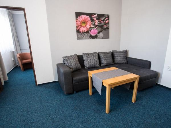 A-Sport Hotel : photo 2 de la chambre suite